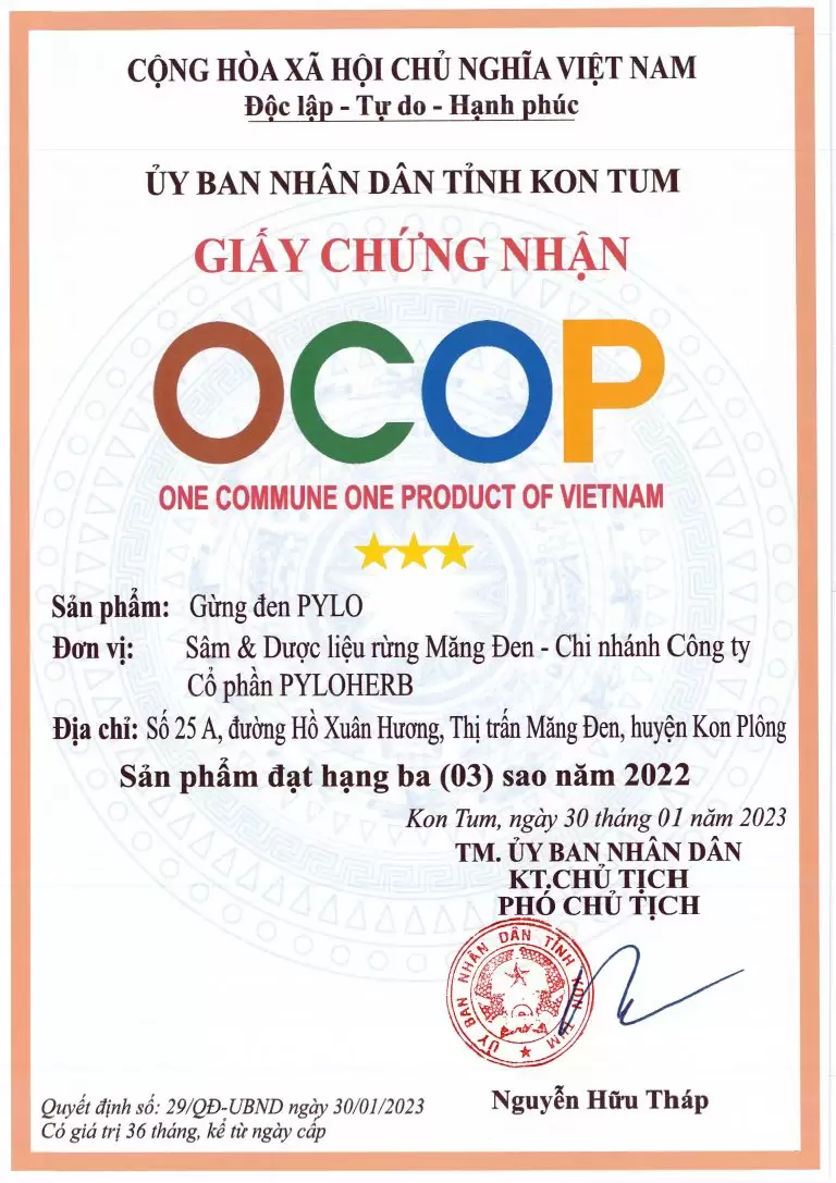 Gừng Đen PyLo