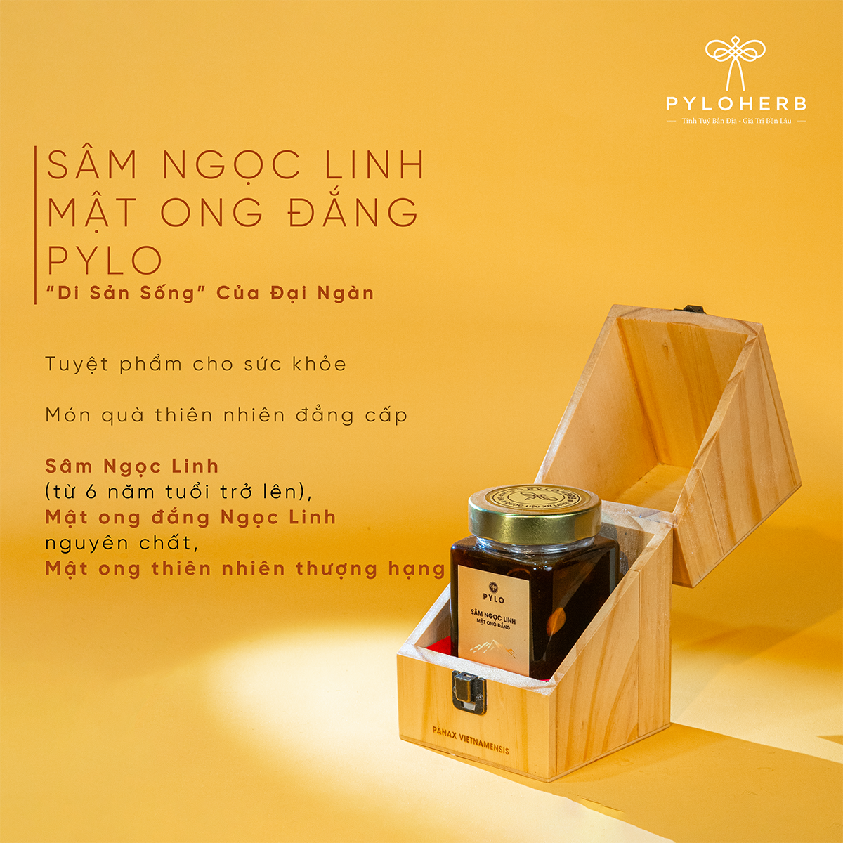 Combo Di Sản