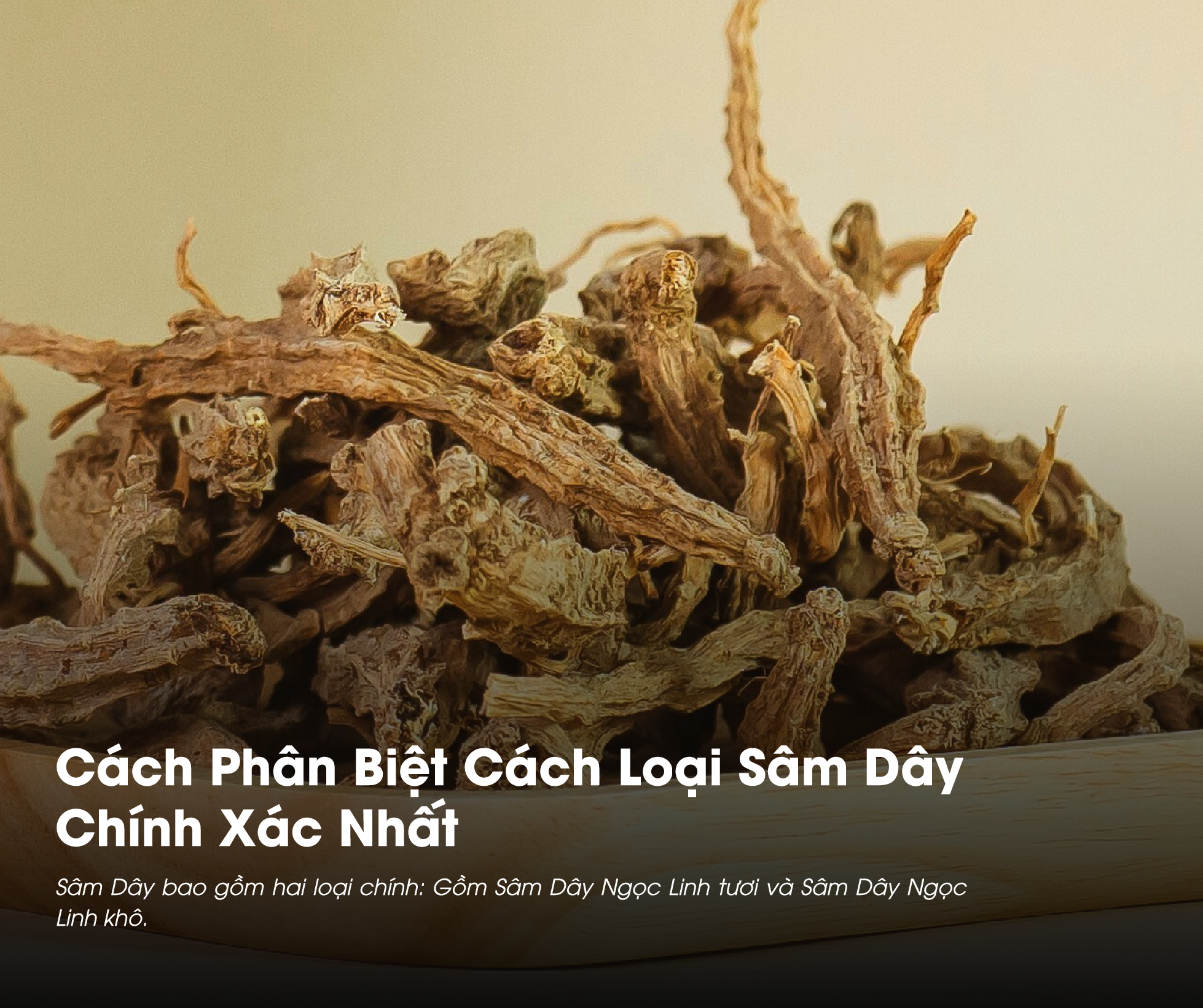 Cách Phân Biệt Các Loại Sâm Dây Chính Xác Nhất 