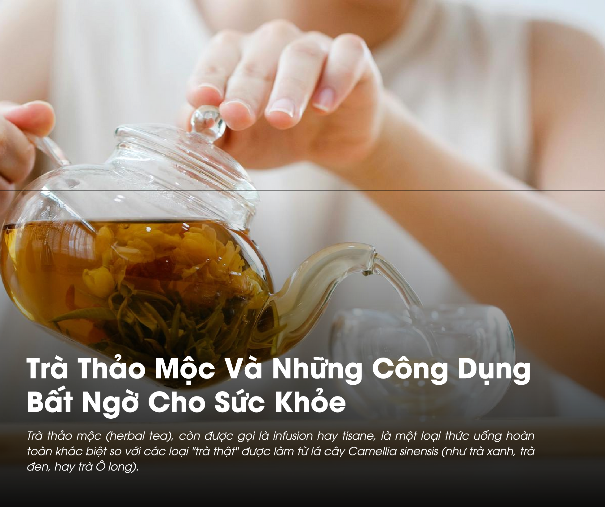 Trà Thảo Mộc Và Những Công Dụng Bất Ngờ Cho Sức Khỏe 