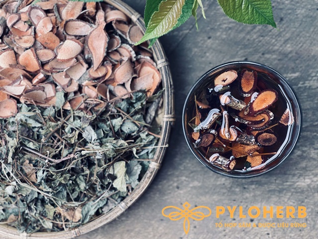 Bí Quyết Lựa Chọn Quà Tặng Sức Khỏe Cho Sếp