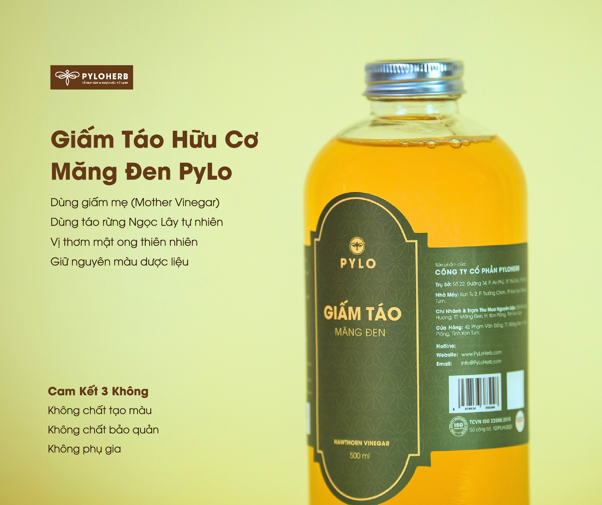 Giấm Táo Hữu Cơ PyLo - Cải Thiện Vấn Đề Tiêu Hóa Và Đường Ruột 