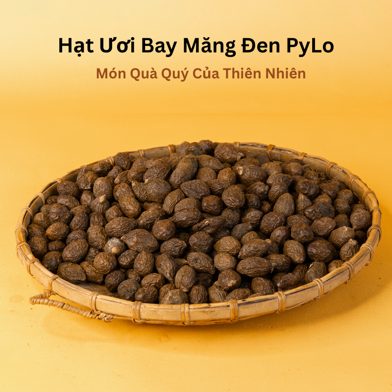 Hạt Ươi Bay Măng Đen PyLo