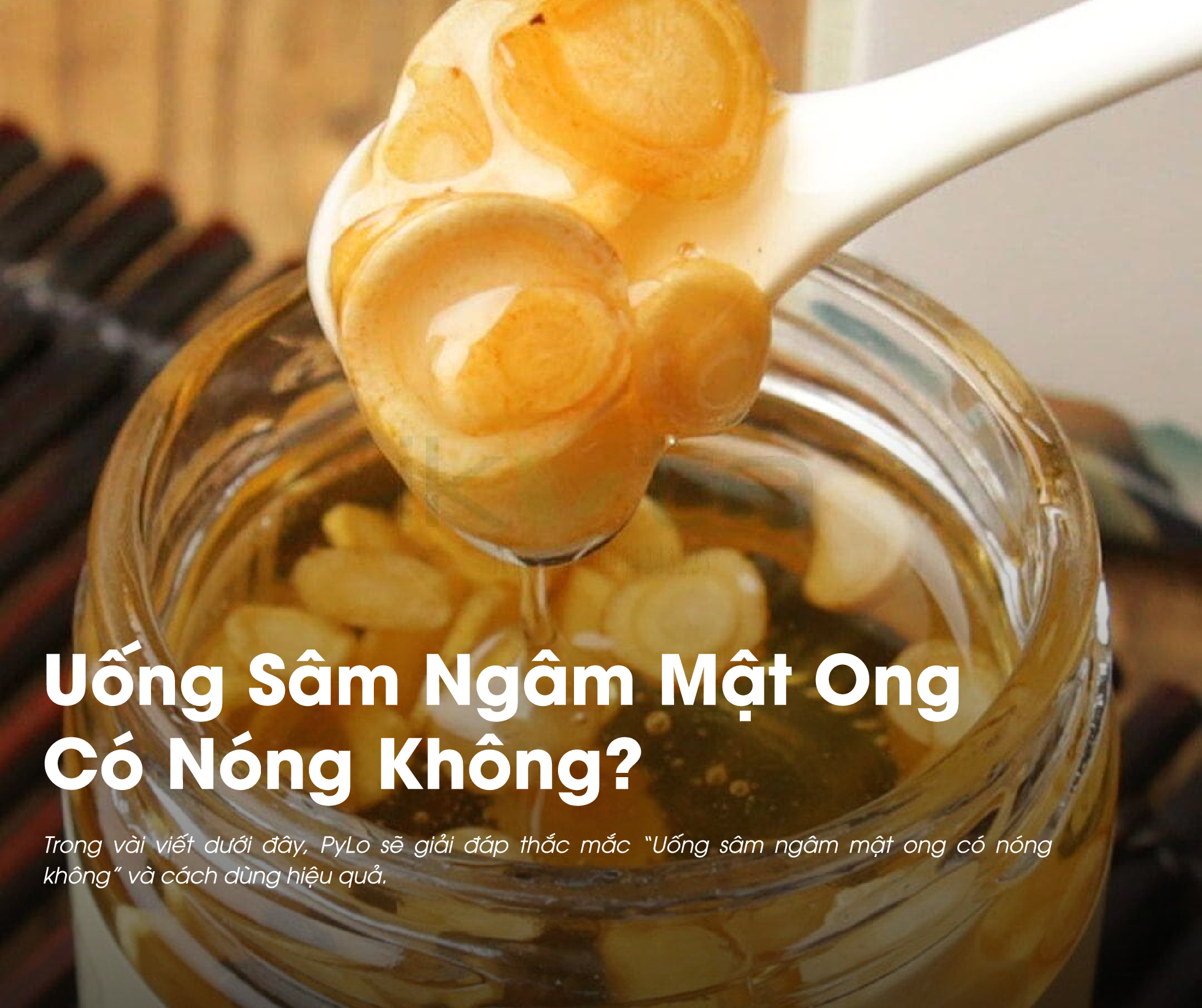 Uống Sâm Ngâm Mật Ong Có Nóng Không? Giải Mã Lợi Ích và 4 Điều Cần Biết