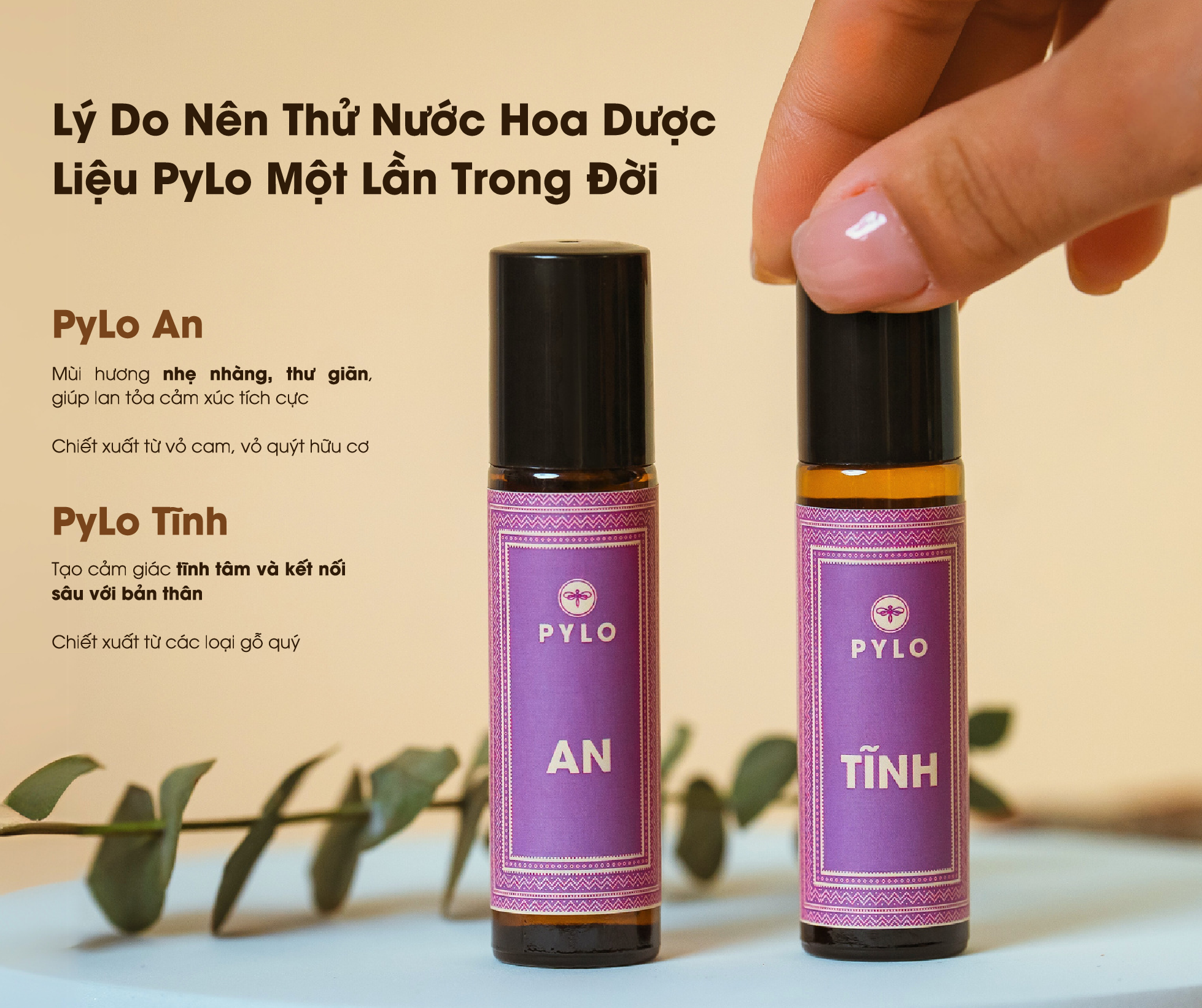 Top Lý Do Nên Thử Nước Hoa Thảo Dược PyLo Một Lần Trong Đời 