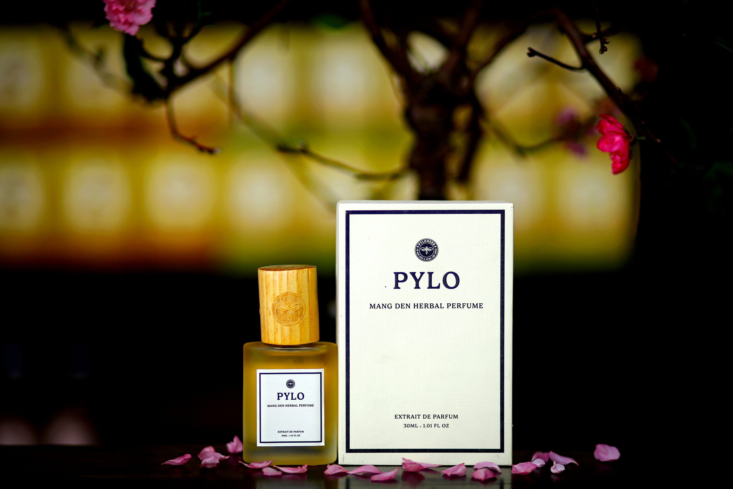 Nước Hoa Dược Liệu Măng Đen PyLo - Dấu Ấn Từ 3 Tầng Hương Cuốn Hút 