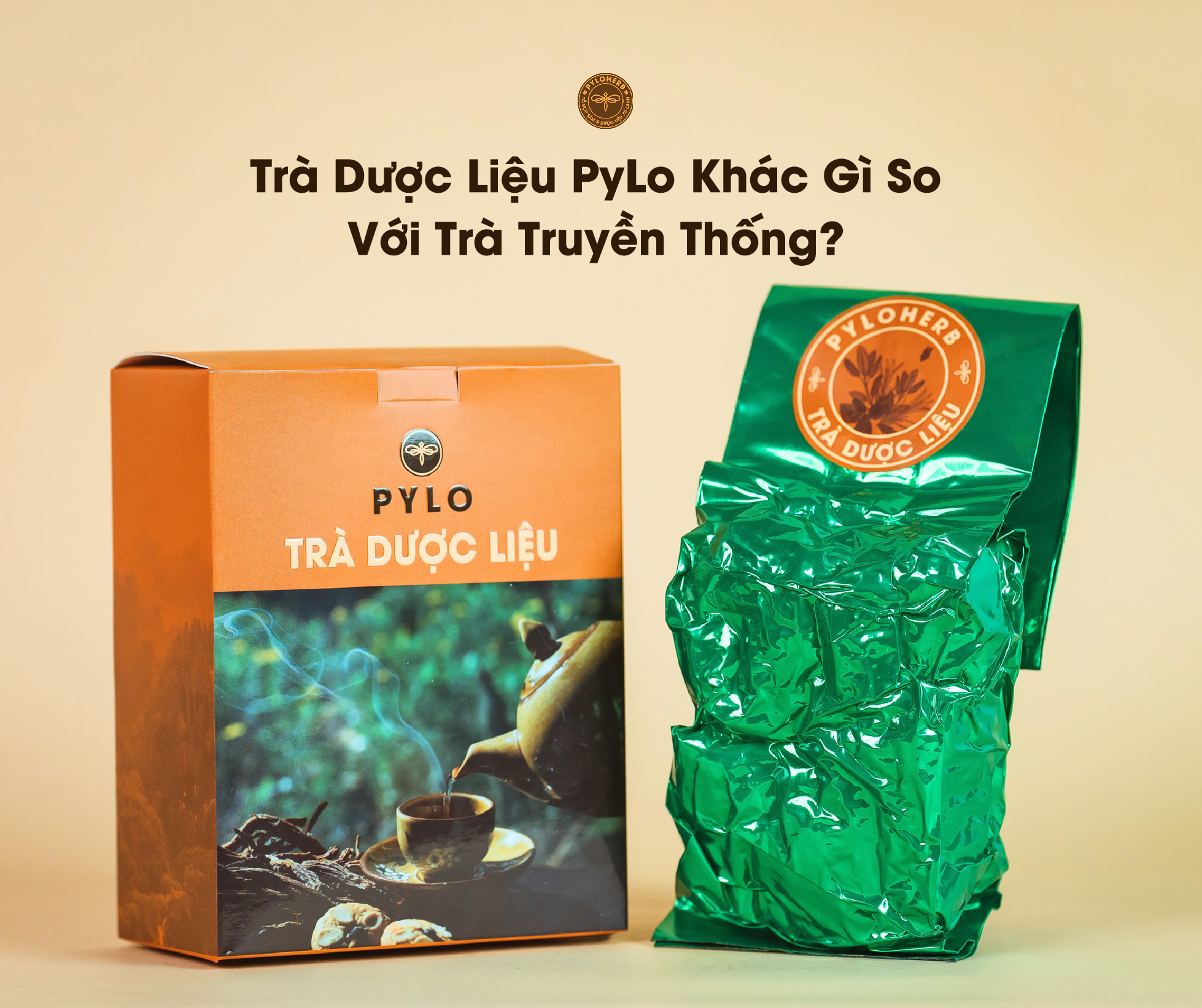 Trà Dược Liệu PyLo Khác Gì So Với Trà Truyền Thống?