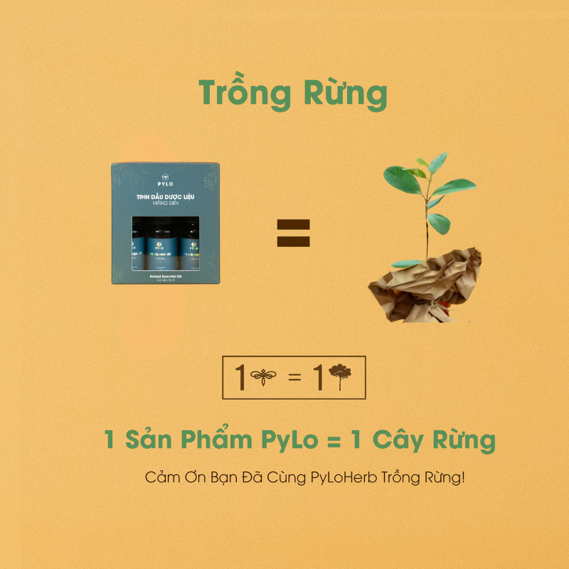 Tinh Dầu Dược Liệu PyLo