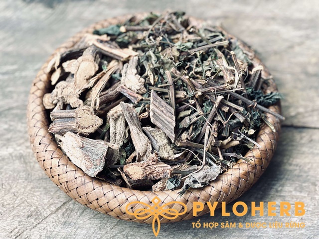 Giảo Cổ Lam Rừng - Đặc Điểm Và Công Dụng
