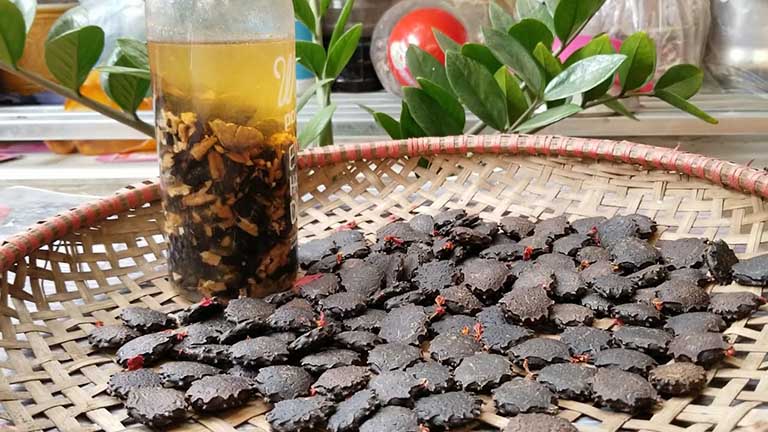 Hạt Gấc Ngâm Rượu Có Tác Dụng Gì?  Cách Ngâm Đúng Cách