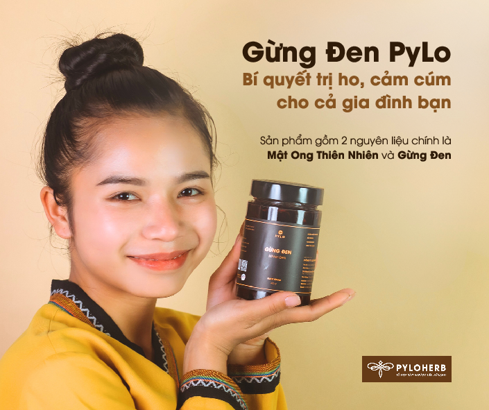 Gừng Đen Pylo - Bí Quyết Trị Ho, Cảm Cúm Cho Cả Gia Đình
