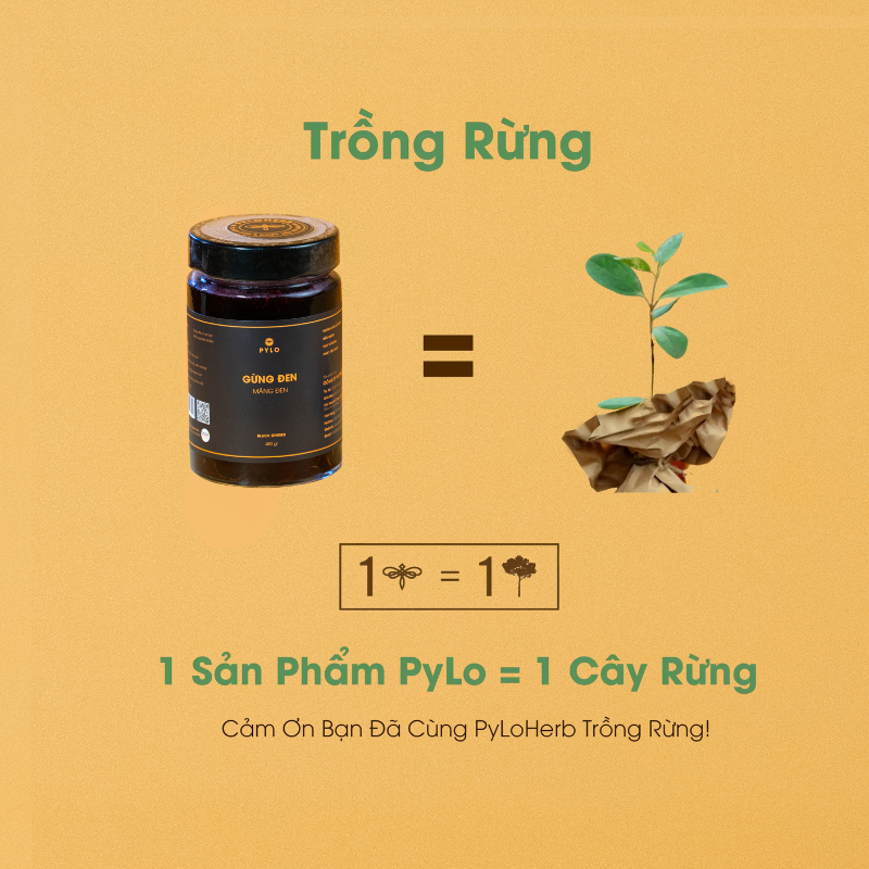Gừng Đen PyLo