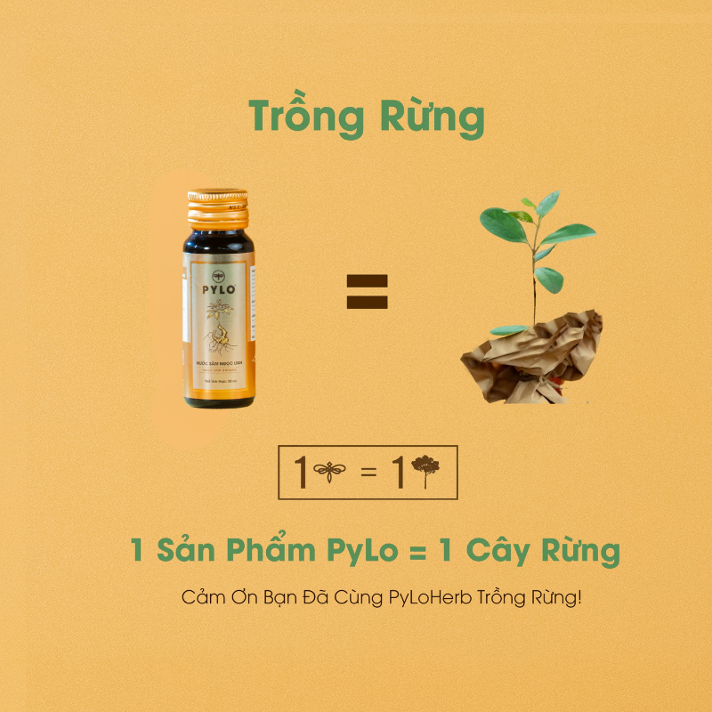 Nước Sâm Ngọc Linh PyLo