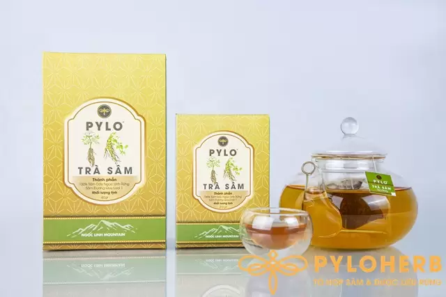 Trà Sâm PyLo Túi Lọc - Đưa Thảo Dược Tự Nhiên Đến Gần Hơn Với Nhịp Sống Mới