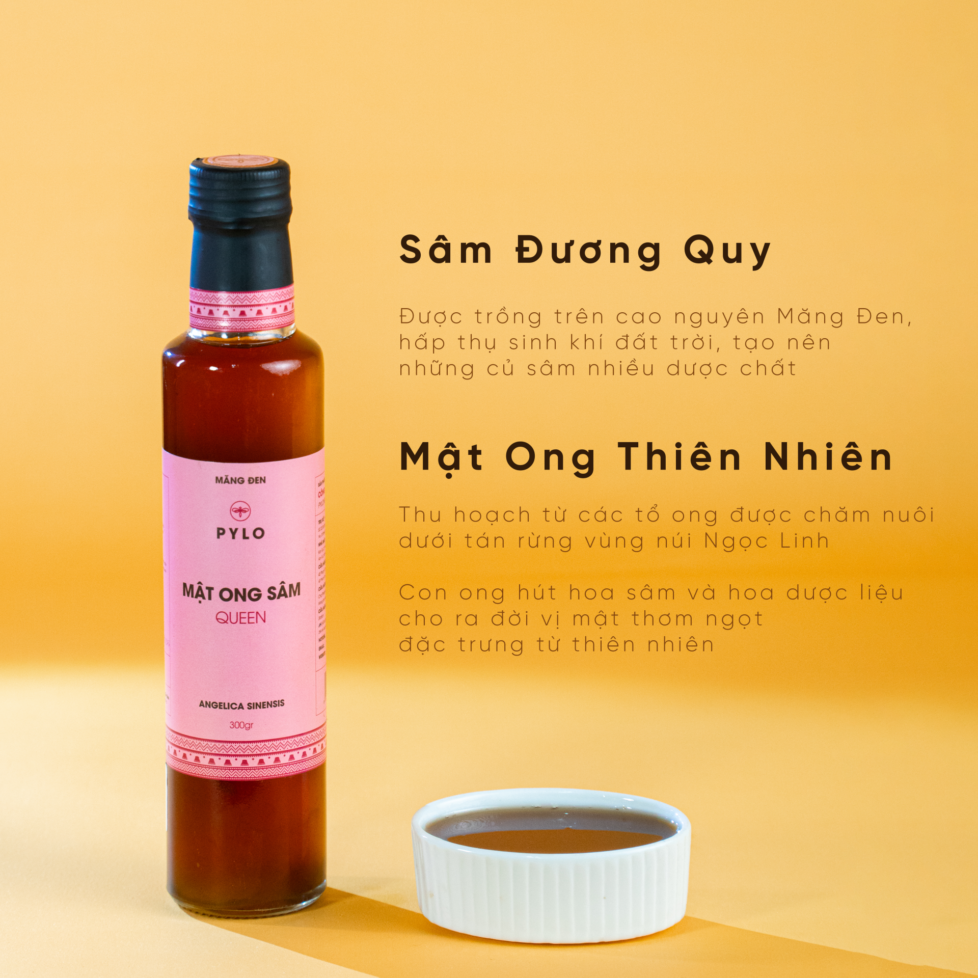 Mật Ong Sâm PyLo Queen - Hồng