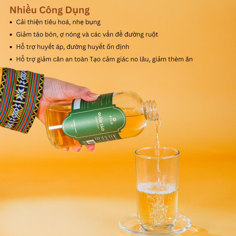 Combo Thanh Lọc [Giấm Táo Mật Ong PyLo]