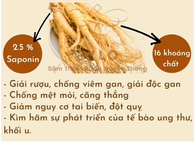 Rượu Sâm Việt PyLo, Tinh Hoa Của Đất Trời Núi Ngọc Linh