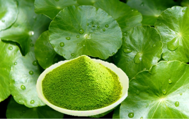 Công Dụng Ít Biết Của Cây Rau Má