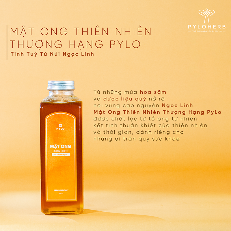 Giọt Mật Rừng Sâu