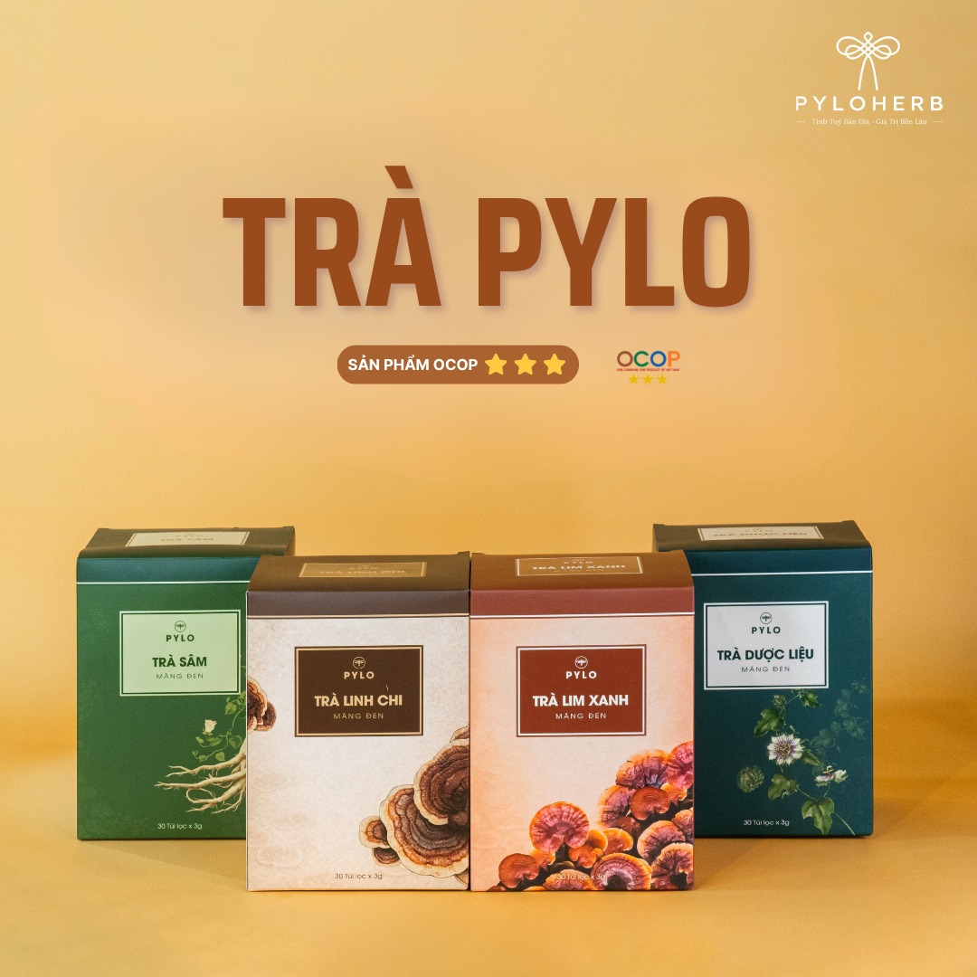TRÀ PYLO