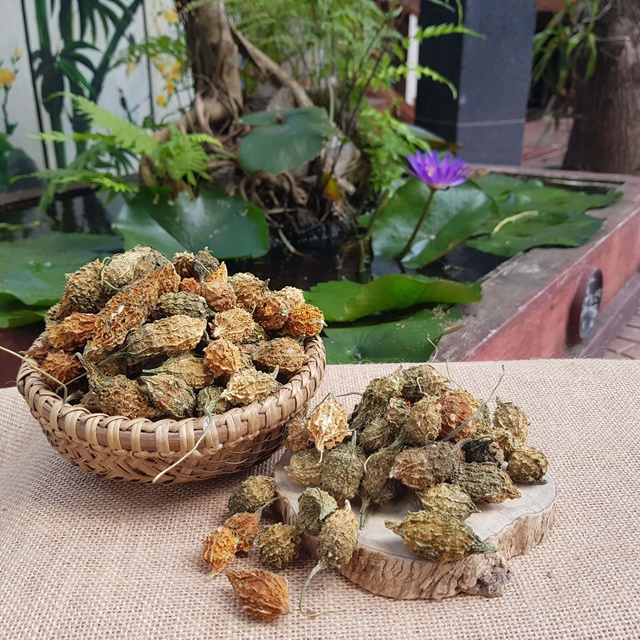 Khổ Qua Rừng Măng Đen Và Công Dụng Tuyệt Vời Cho Sức Khỏe