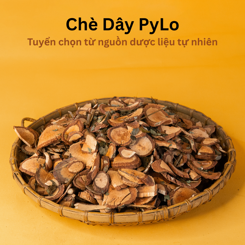 Chè Dây PyLo