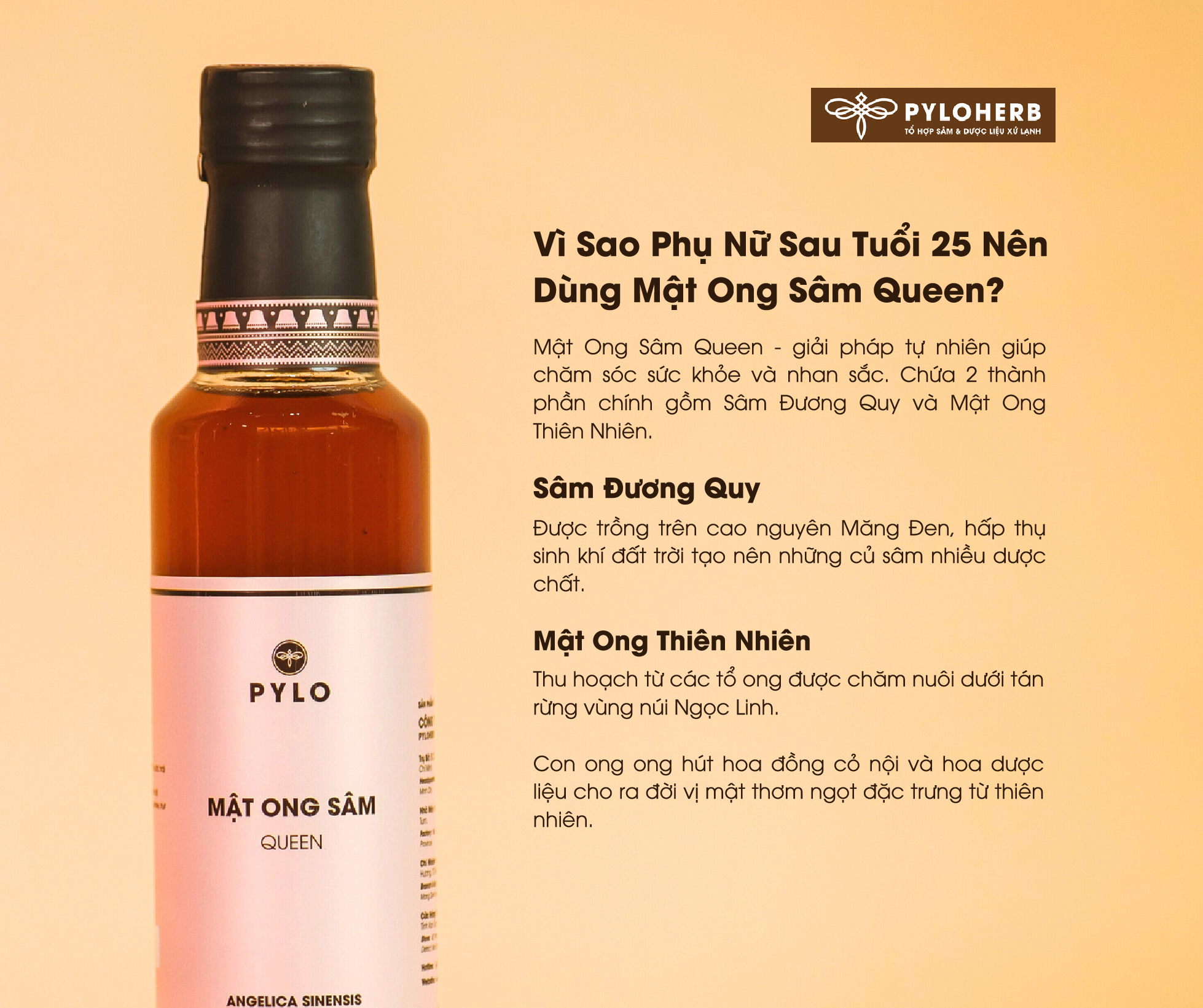 Vì Sao Phụ Nữ Sau Tuổi 25 Nên Dùng Mật Ong Sâm Queen?