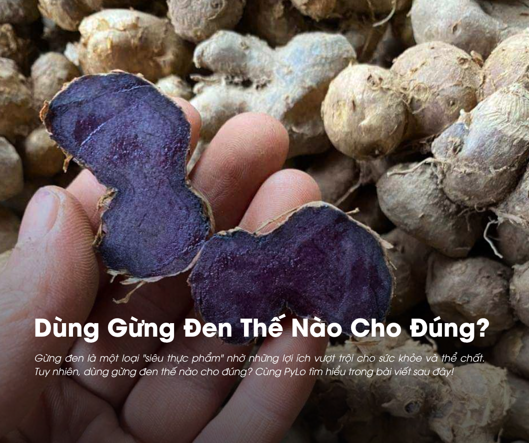 Dùng Gừng Đen Thế Nào Cho Đúng?