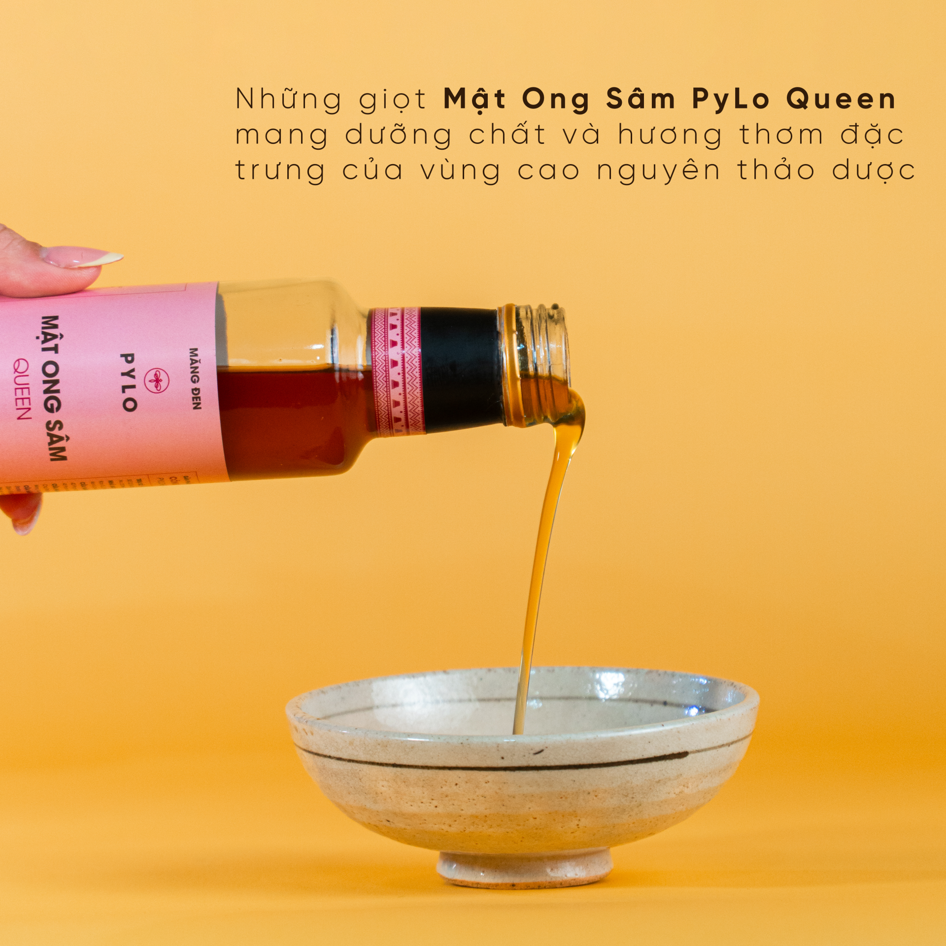 Mật Ong Sâm PyLo Queen - Hồng