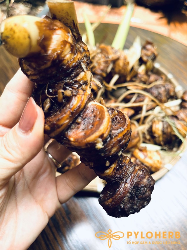 Thất Diệp Nhất Chi Hoa