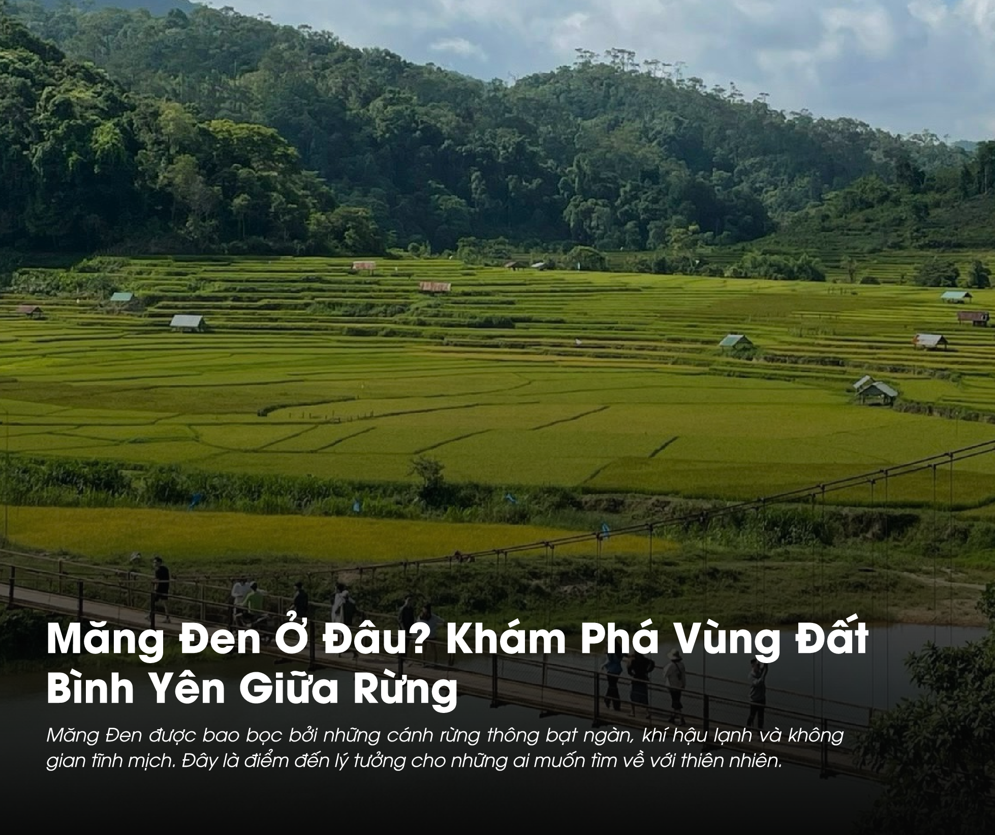 Măng Đen Ở Đâu? Khám Phá Vùng Đất Bình Yên Giữa Rừng
