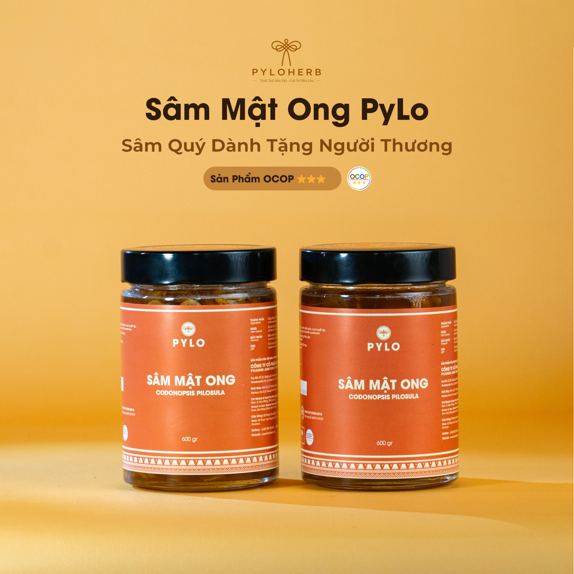 Sâm Mật Ong PyLo