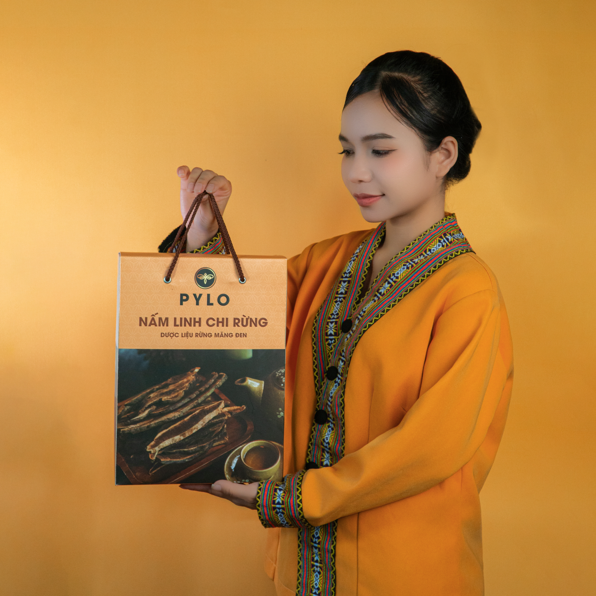 Nấm Linh Chi Tự Nhiên PyLo