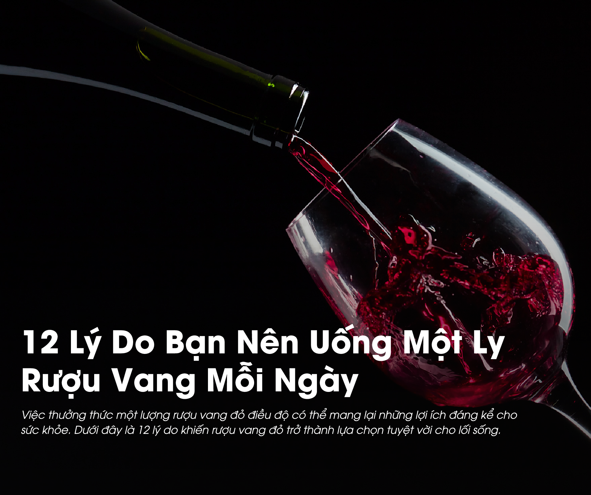 12 Lý Do Bạn Nên Uống Một Ly Rượu Vang Mỗi Ngày 