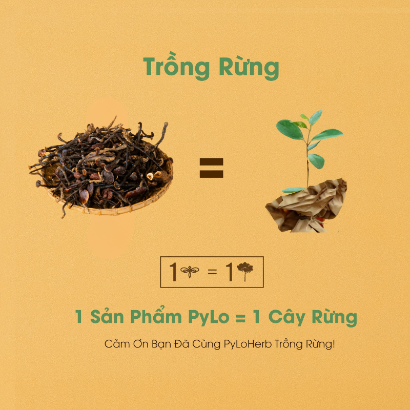 Nấm Linh Chi Cổ Cò PyLo