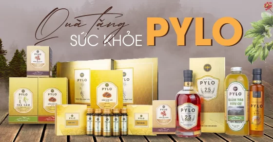 Đăng Ký Nhà Phân Phối PyLoHerb: Kinh Doanh Quà Tết Hiệu Quả