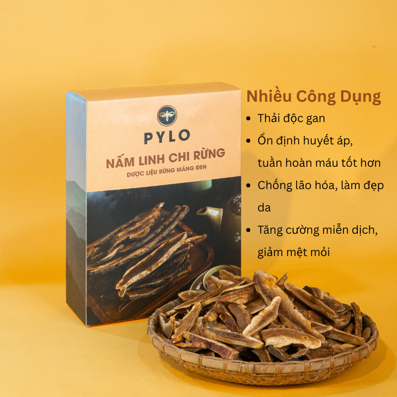 Nấm Linh Chi Tự Nhiên PyLo