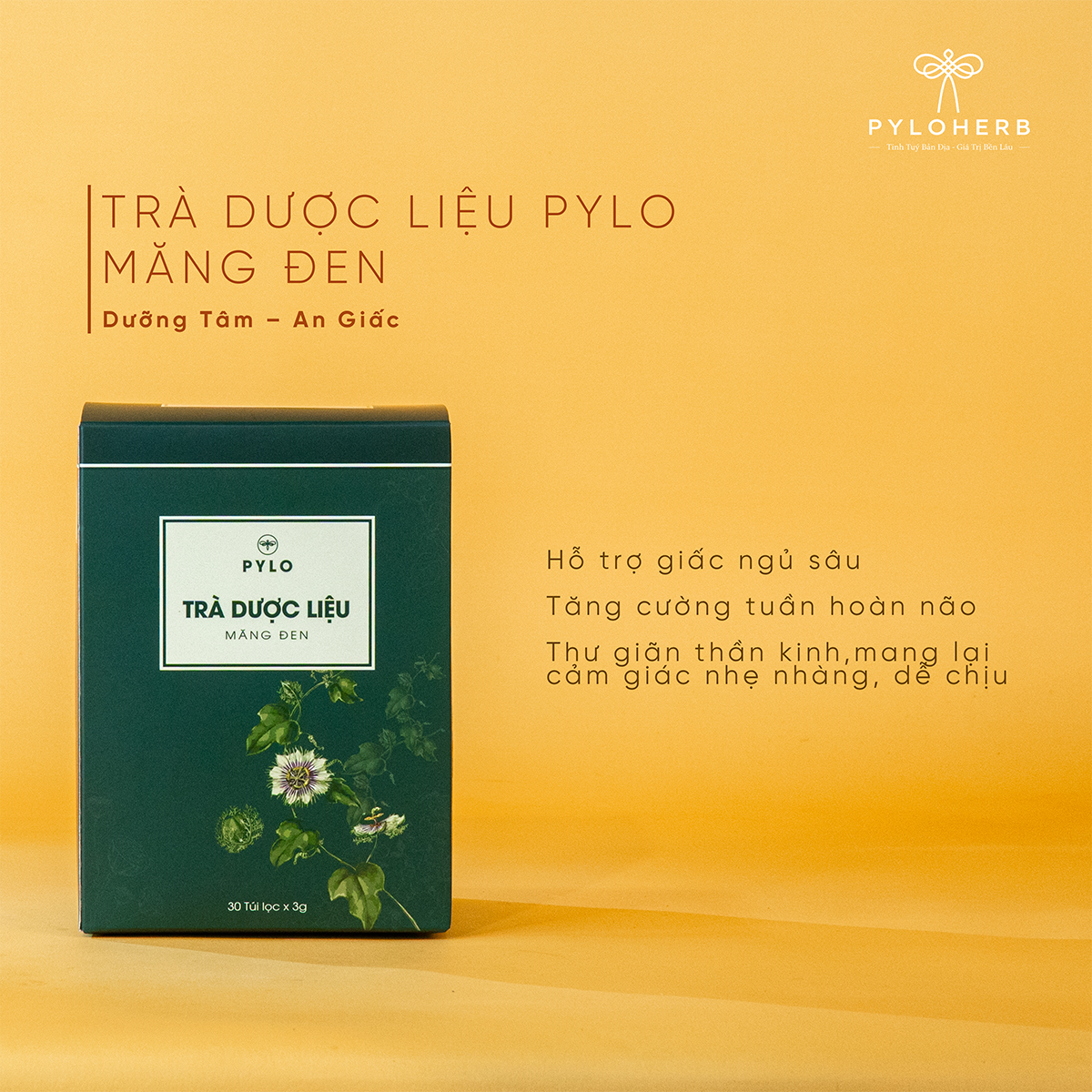 Combo Mở Đầu Câu Chuyện