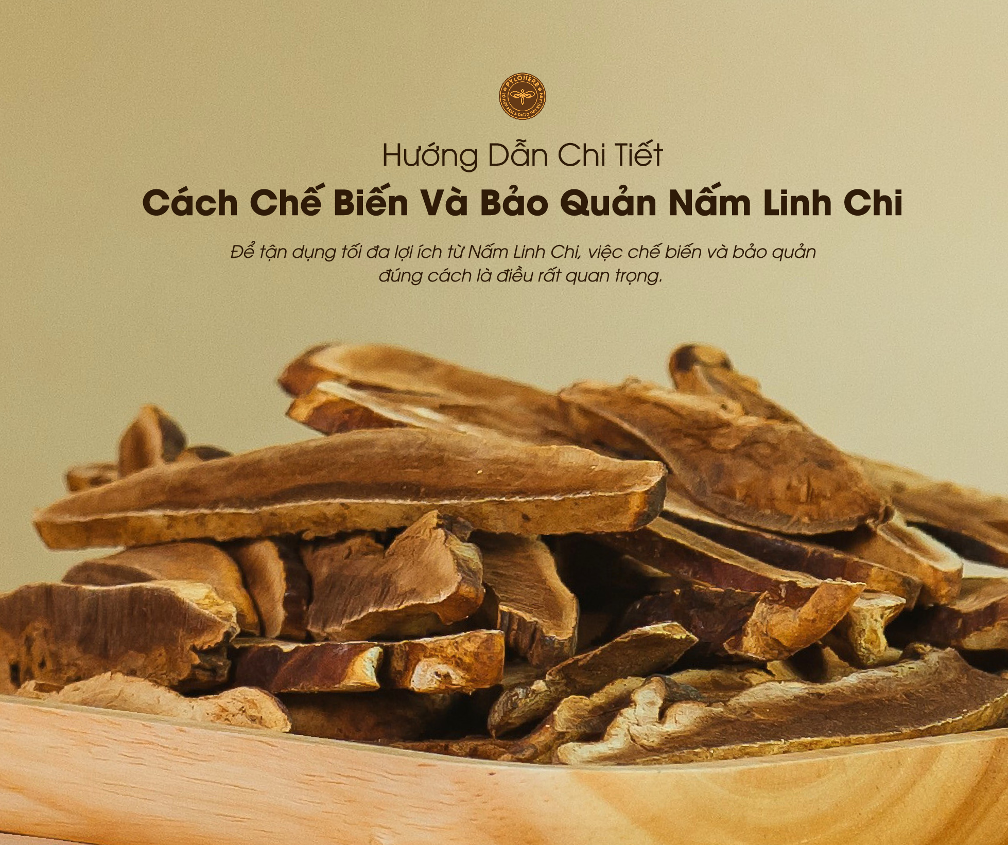 5 Cách Chế Biến Và Bảo Quản Nấm Linh Chi: Hướng Dẫn Chi Tiết