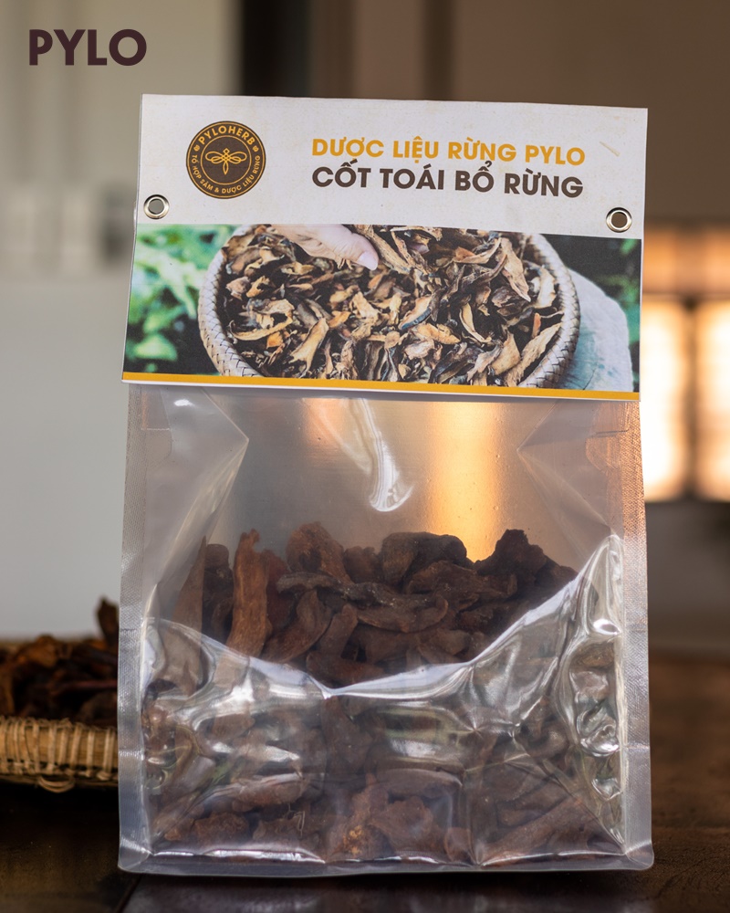 Cốt Toái Bổ Rừng PyLo