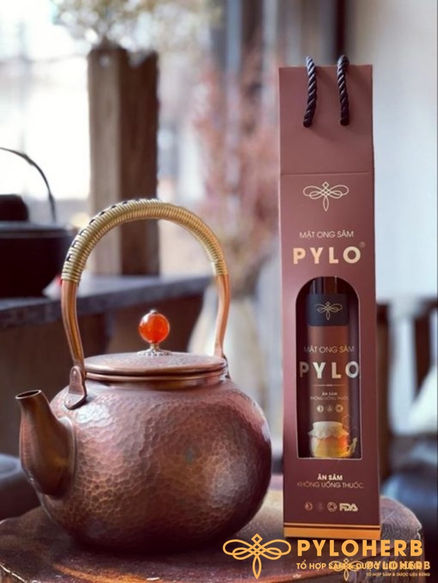 Mật Ong Sâm PyLo - Món Quà Tốt Cho Sức Khỏe Của Mọi Nhà