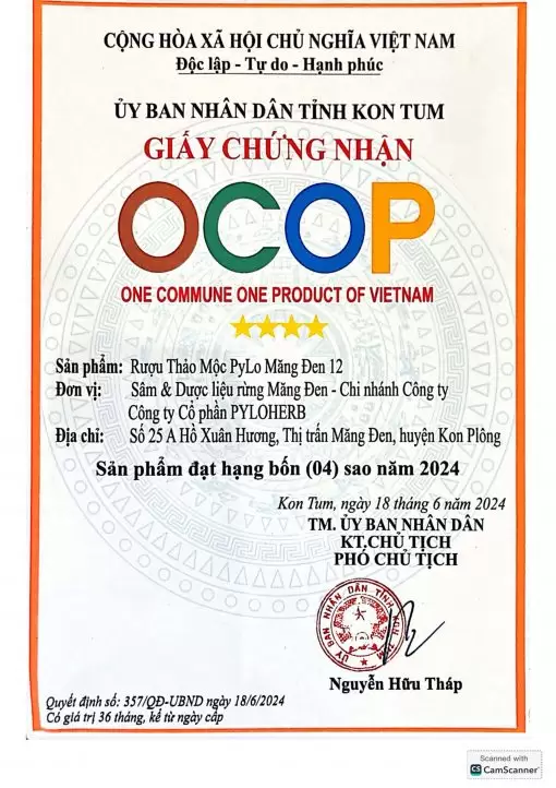 Rượu Thảo Mộc Măng Đen PyLo 12
