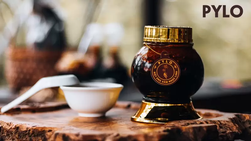 Sâm Ngọc Linh ngâm mật ong đắng PyLo - Câu chuyện về sự kết hợp độc đáo
