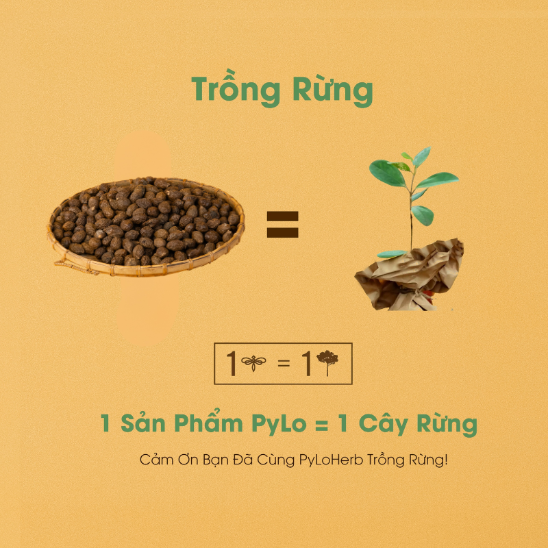 Hạt Ươi Bay Măng Đen PyLo