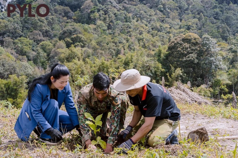 Chung Tay Trồng Rừng Cùng PyLoHerb: Trao Tặng 3000 Cây Gỗ Sưa Đỏ và 1000 Cây Dổi Cho Xã Đăk Tăng