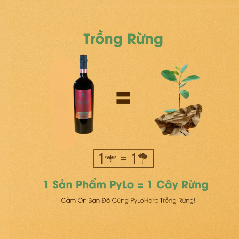 Rượu Vang Mâm Xôi Măng Đen PyLo