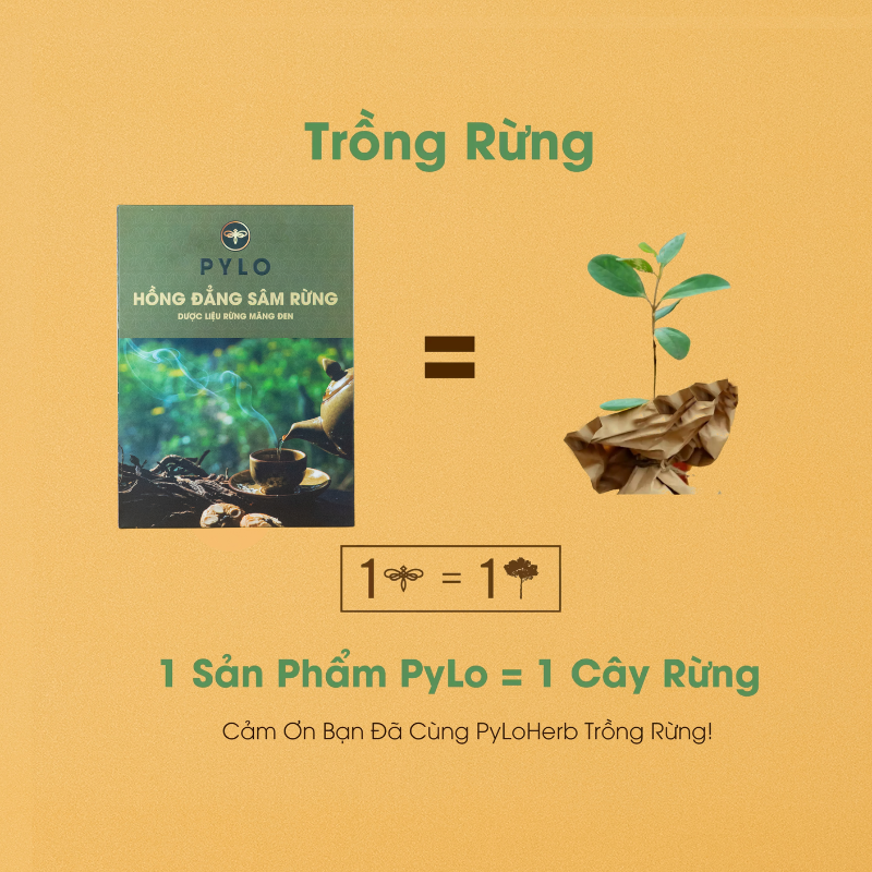Hồng Đẳng Sâm PyLo (Sâm Dây Ngọc Linh)
