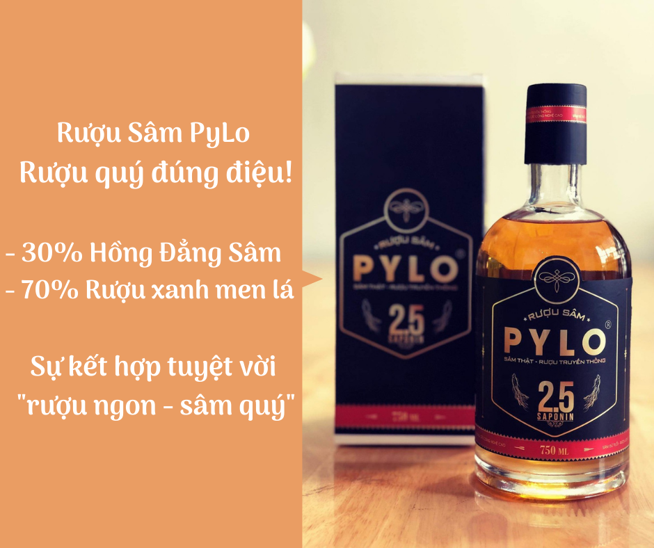 Vi Diệu Rượu Sâm PyLo - Bí Quyết Giữ Lửa Hạnh Phúc Cuộc Sống