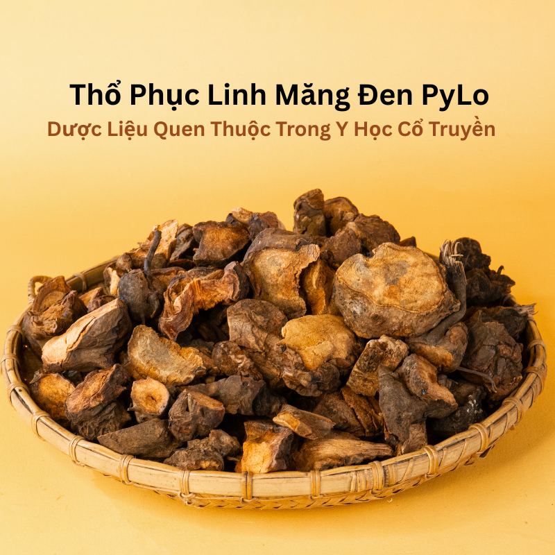 Thổ Phục Linh Măng Đen PyLo