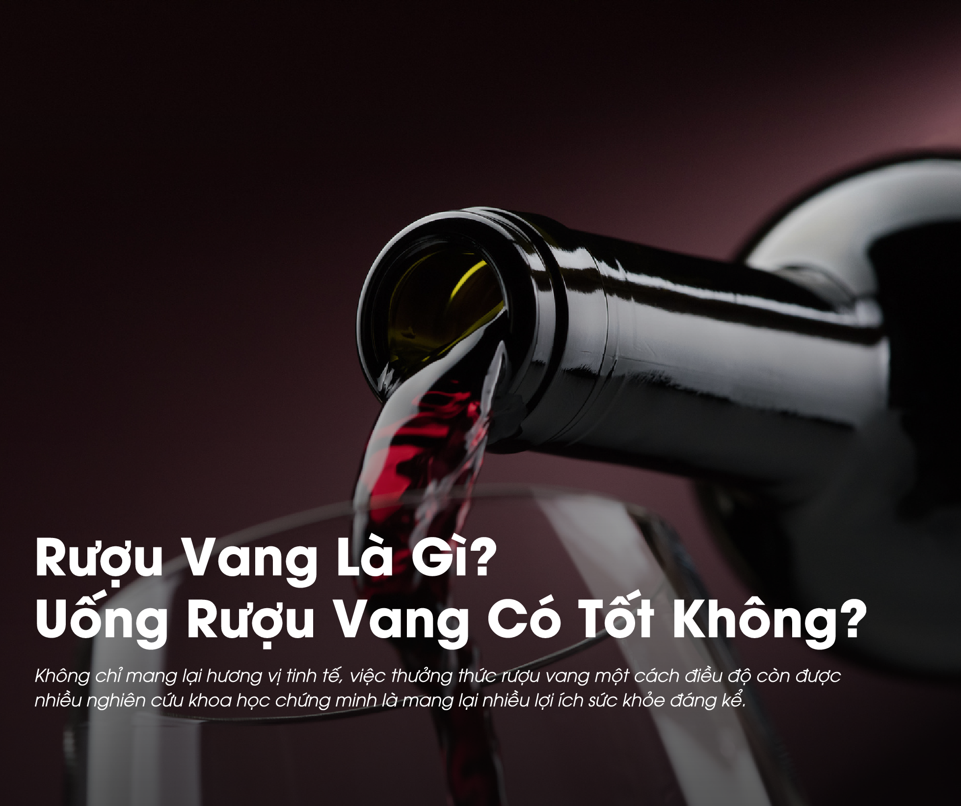 Rượu Vang Là Gì? Uống Rượu Vang Có Tốt Không?